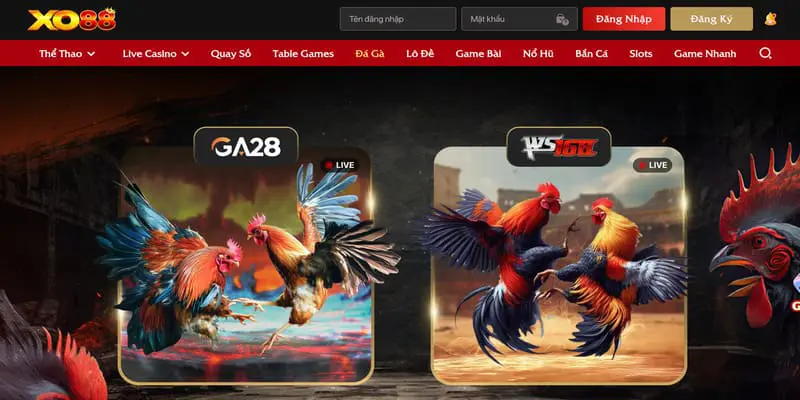 Quy định chơi có trách nhiêm tại Xo88